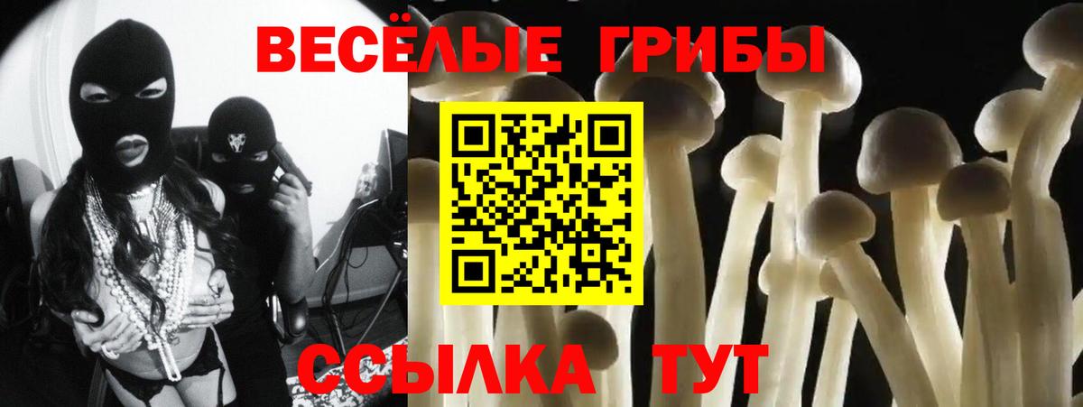 Псилоцибиновые грибы мицелий  Вход с VPN  Черногорск 